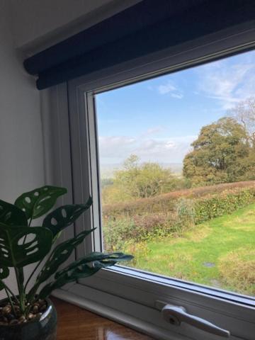 Trinity Cottage Welshpool Luaran gambar