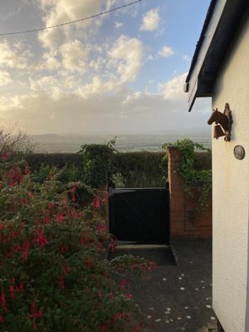 Trinity Cottage Welshpool Luaran gambar