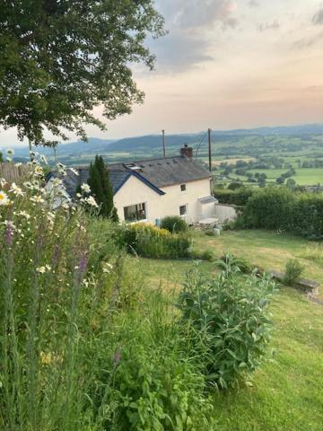 Trinity Cottage Welshpool Luaran gambar
